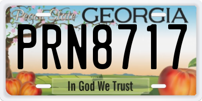 GA license plate PRN8717