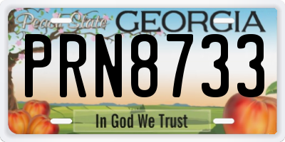 GA license plate PRN8733