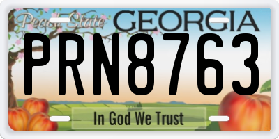 GA license plate PRN8763