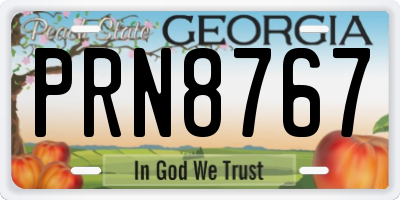 GA license plate PRN8767