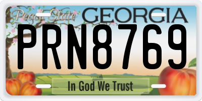 GA license plate PRN8769
