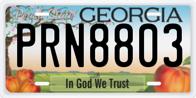 GA license plate PRN8803