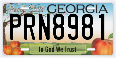GA license plate PRN8981
