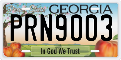 GA license plate PRN9003