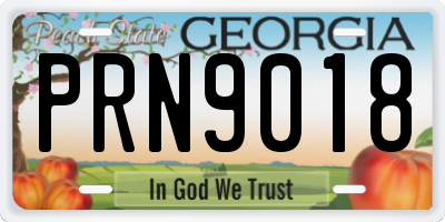 GA license plate PRN9018