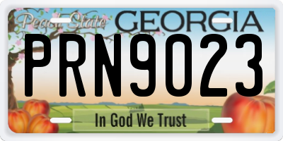 GA license plate PRN9023