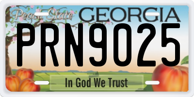 GA license plate PRN9025
