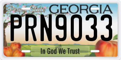GA license plate PRN9033