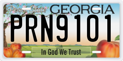 GA license plate PRN9101