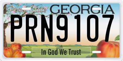 GA license plate PRN9107