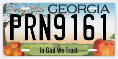 GA license plate PRN9161