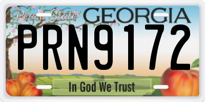 GA license plate PRN9172