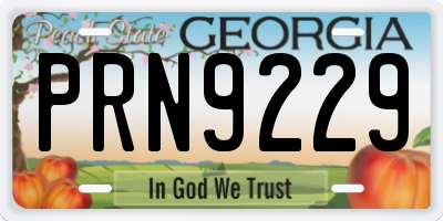 GA license plate PRN9229