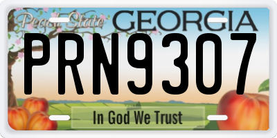 GA license plate PRN9307