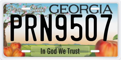 GA license plate PRN9507