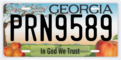 GA license plate PRN9589
