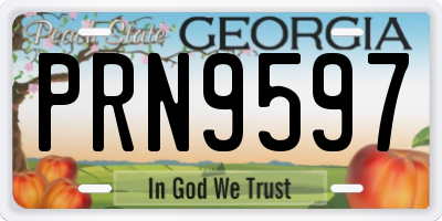 GA license plate PRN9597