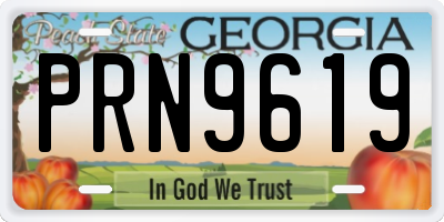 GA license plate PRN9619