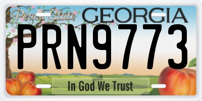 GA license plate PRN9773