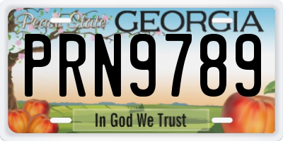 GA license plate PRN9789