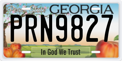 GA license plate PRN9827