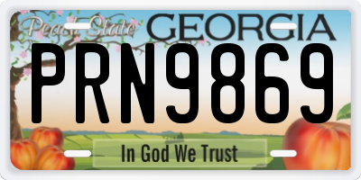 GA license plate PRN9869