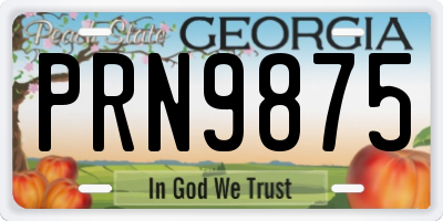 GA license plate PRN9875
