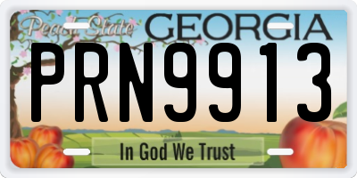 GA license plate PRN9913
