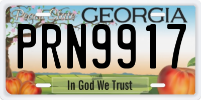 GA license plate PRN9917