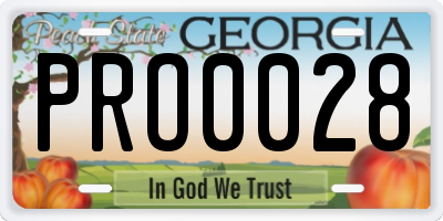 GA license plate PRO0028