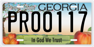 GA license plate PRO0117