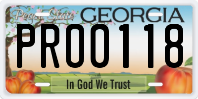 GA license plate PRO0118
