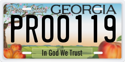 GA license plate PRO0119
