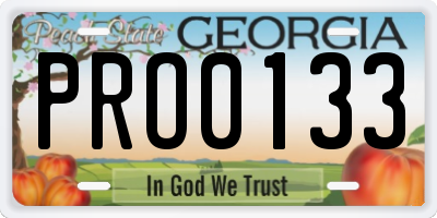 GA license plate PRO0133