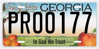 GA license plate PRO0177