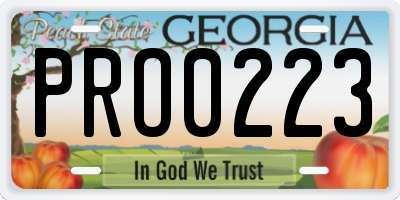 GA license plate PRO0223