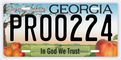 GA license plate PRO0224