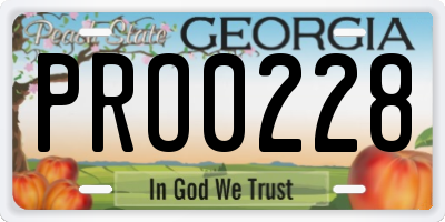 GA license plate PRO0228