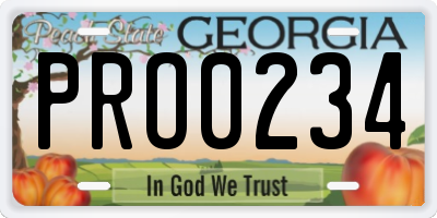 GA license plate PRO0234
