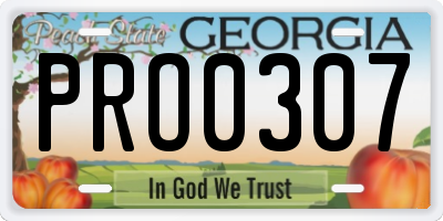 GA license plate PRO0307