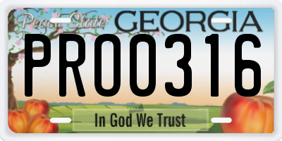 GA license plate PRO0316