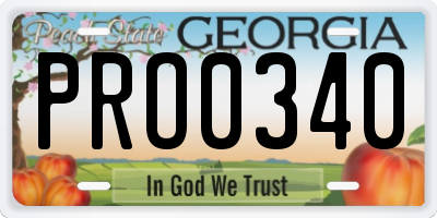 GA license plate PRO0340