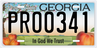 GA license plate PRO0341