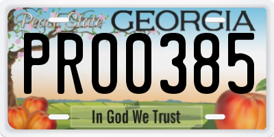 GA license plate PRO0385