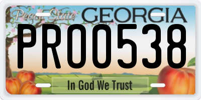 GA license plate PRO0538