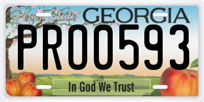 GA license plate PRO0593