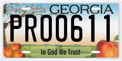 GA license plate PRO0611