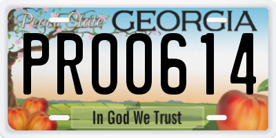 GA license plate PRO0614