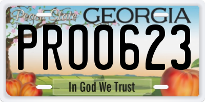 GA license plate PRO0623