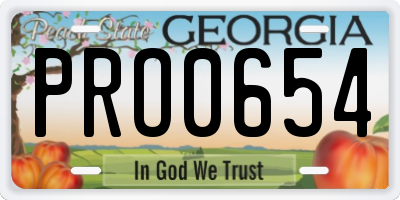 GA license plate PRO0654